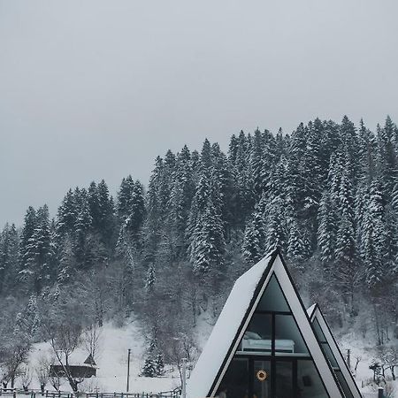 Mountains Hut Villa Mykulychyn Dış mekan fotoğraf