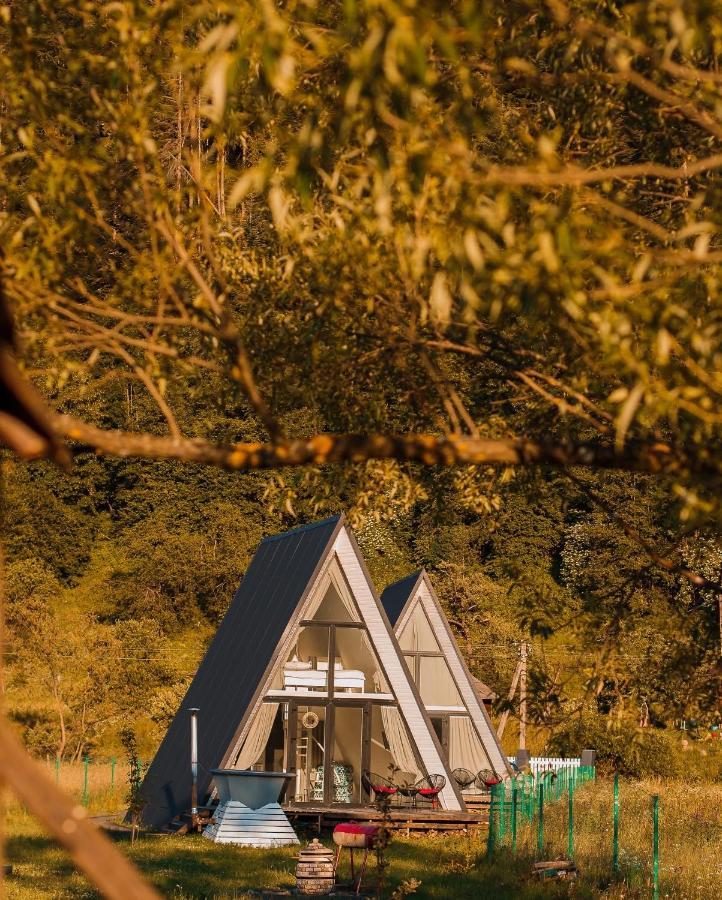 Mountains Hut Villa Mykulychyn Dış mekan fotoğraf